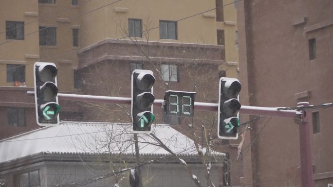 风雪中的红绿灯交通灯