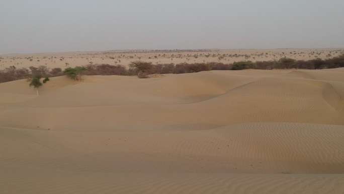 塔尔沙漠景观航拍戈壁绿洲树木植被荒漠无人