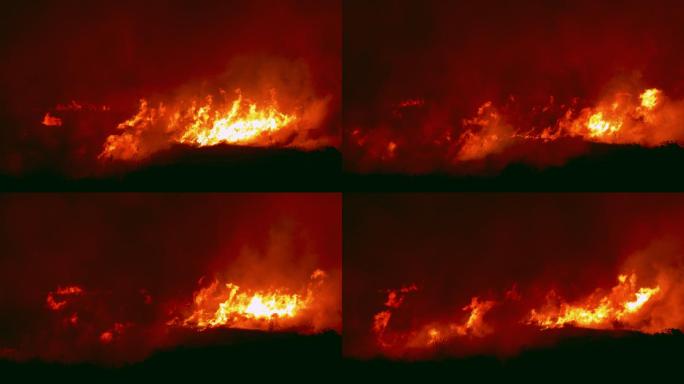 丛林大火烟雾可怕视频素材