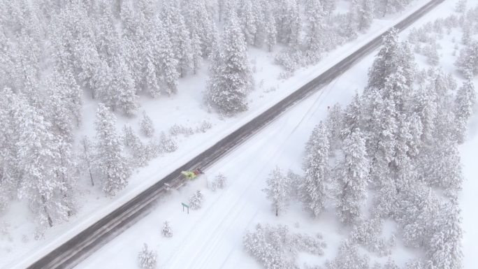 铲雪车清扫穿过森林的乡村道路。