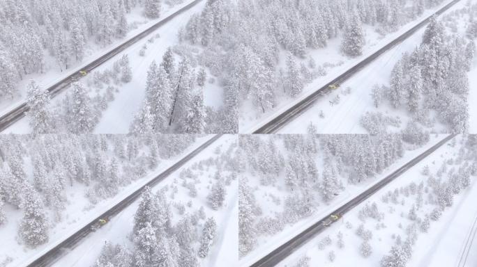 铲雪车清扫穿过森林的乡村道路。