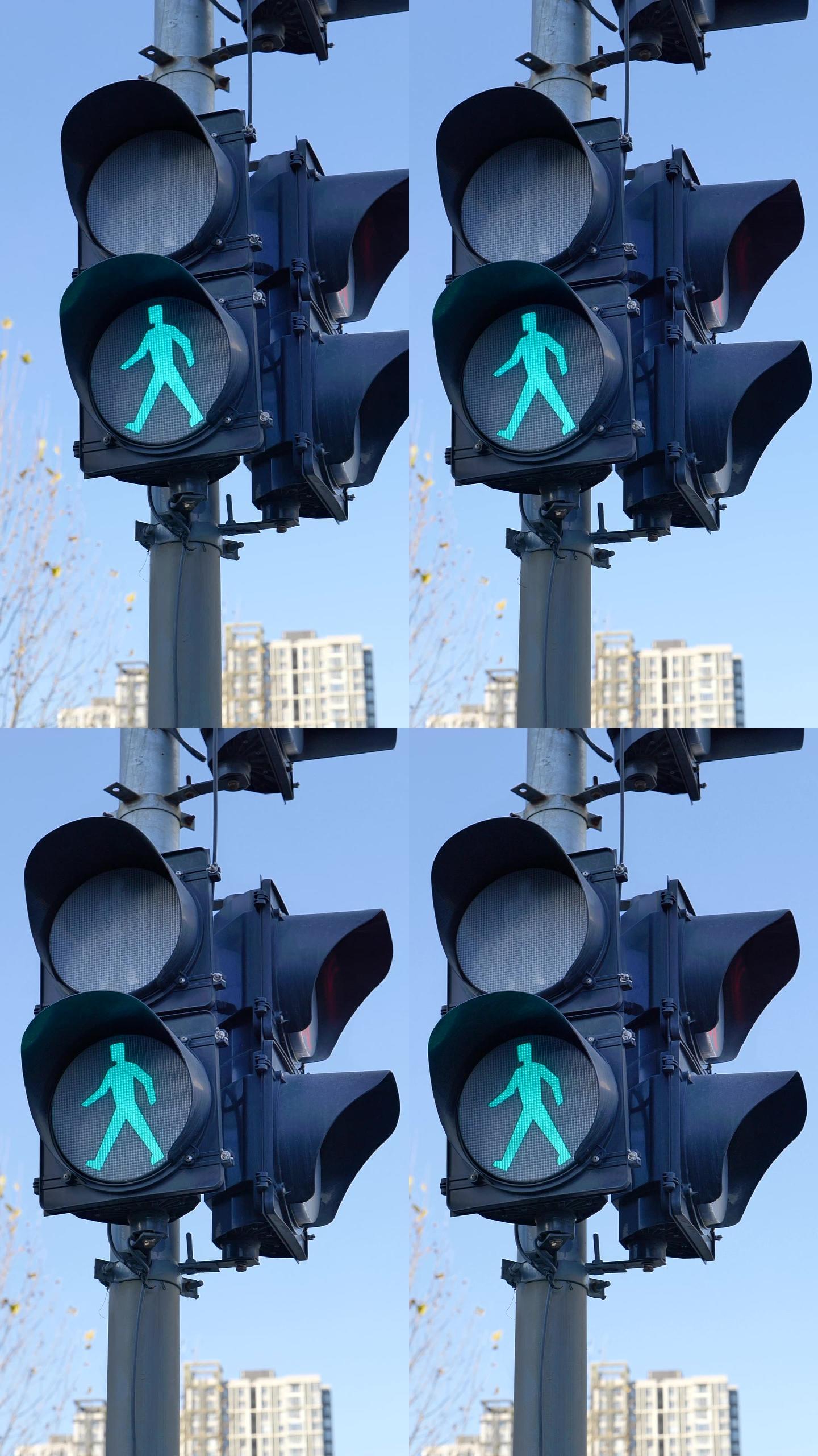 交通信号灯人行横道