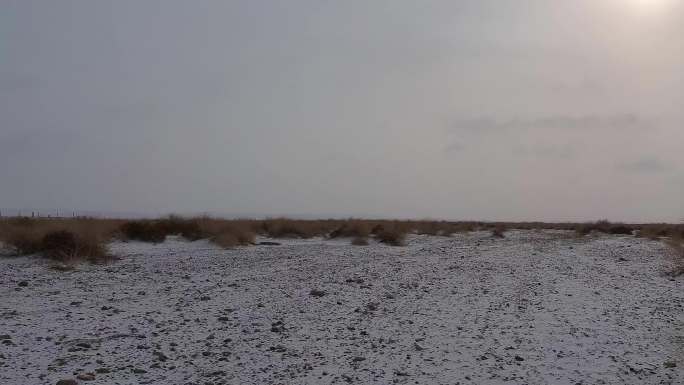 雪中荒滩野草地行车记录