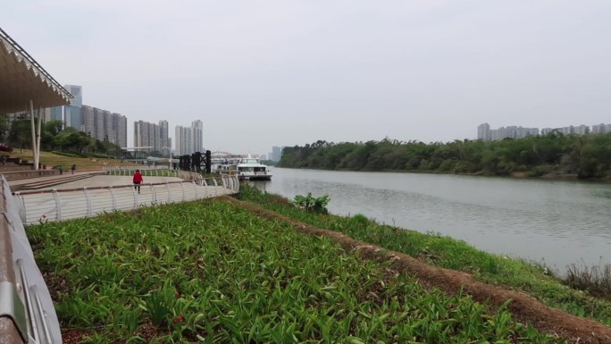 佛山东平河三龙湾龙舟广场游船张槎竹林