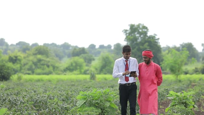 年轻的农学家在田野与农民讨论