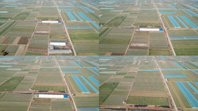 4K-航拍广拓土地 农田 农作物