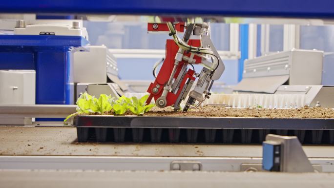 自动化种植过程智慧农业自动化农业科技兴农