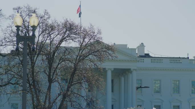 冬季华盛顿特区的白宫