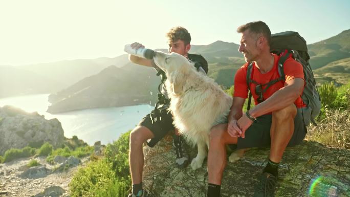 日落时在山顶给他们的狗喝水