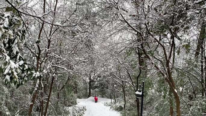 山中雪景游人流连忘返