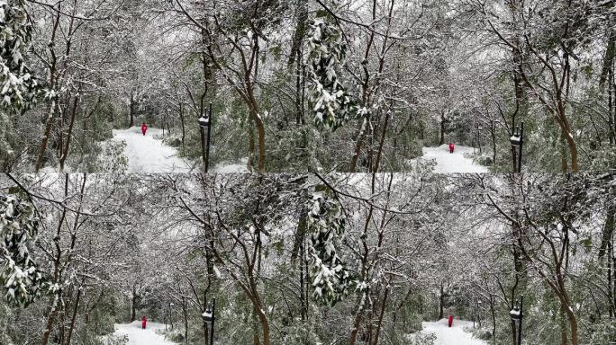 山中雪景游人流连忘返