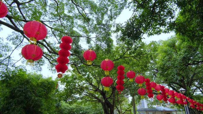 春节路边的红灯笼