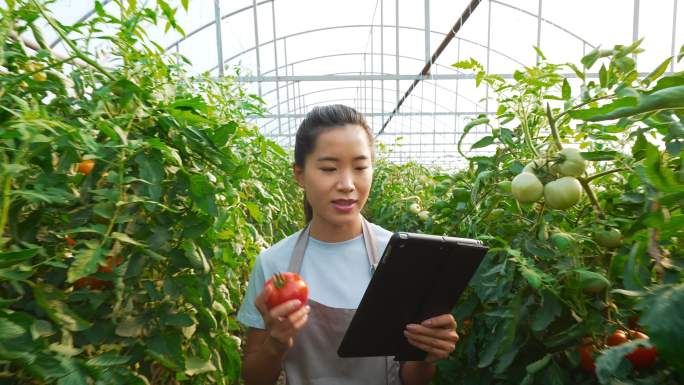 一位农民在温室里对作物进行记录