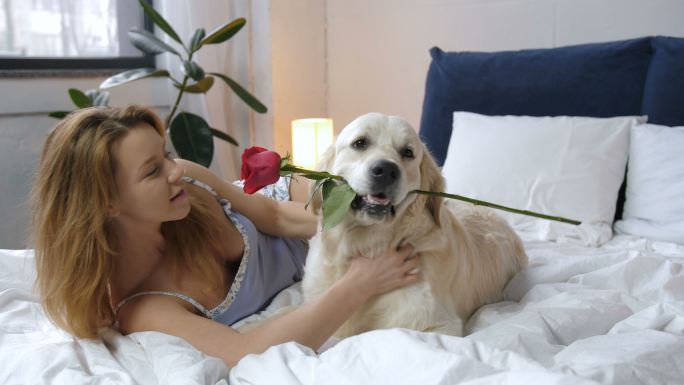 快乐的女人抚摸着含着玫瑰花的狗狗