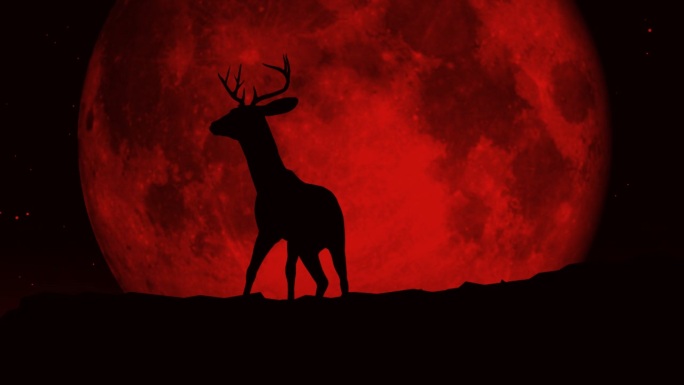 有红月亮背景的鹿视频素材恐怖氛围黑夜血月