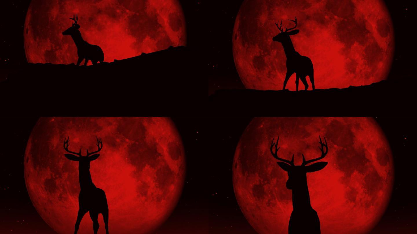 有红月亮背景的鹿视频素材恐怖氛围黑夜血月