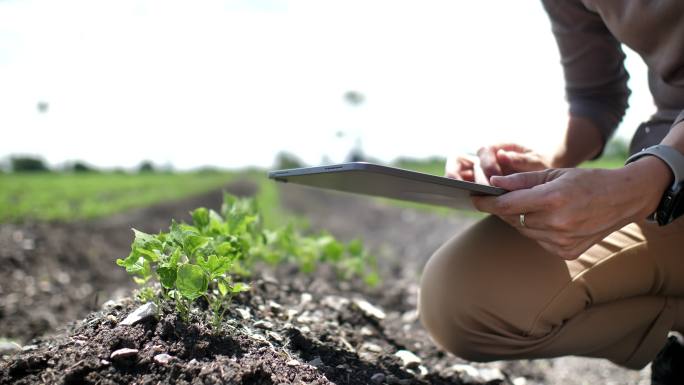 农民使用数字平板电脑检查植物