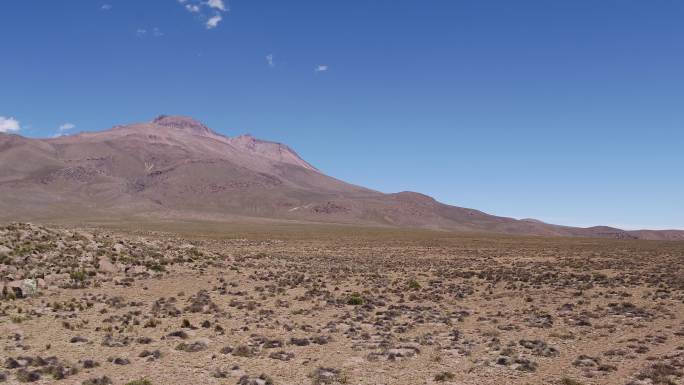 秘鲁 4k 航拍 野生羊驼 高山 白云