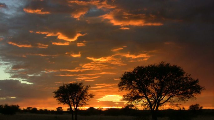 非洲大草原的美丽落日