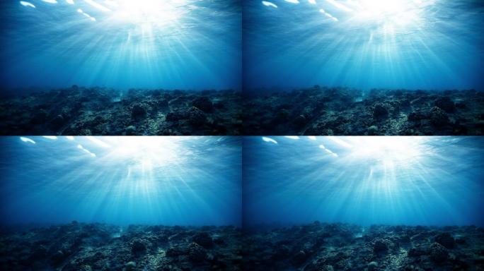 深海海底世界