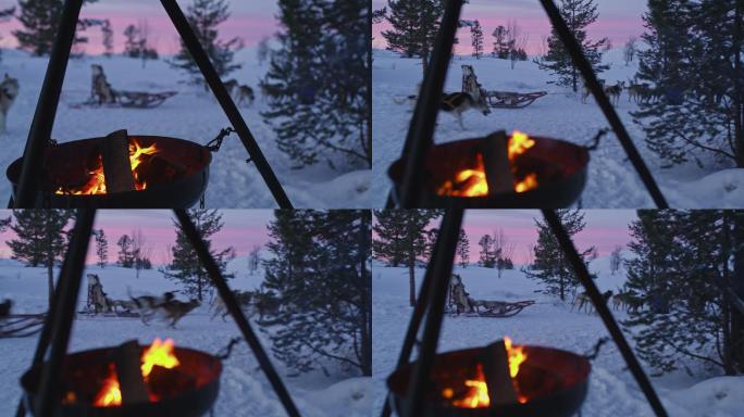 篝火旁的雪橇狗寒冬圣诞雪夜狗子玩耍温暖火