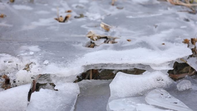 初春冰层消解碎裂的冰块实拍素材