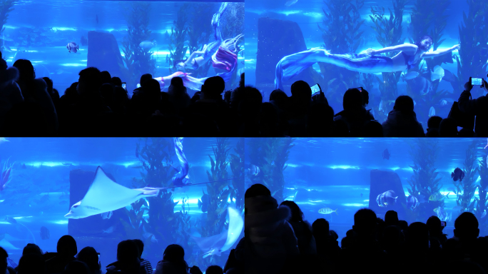 海底世界人鱼表演