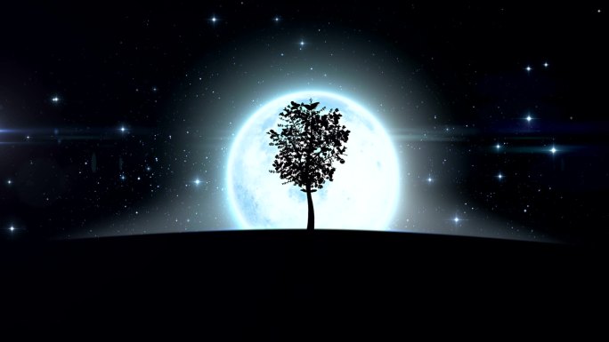 月亮下生长的树。