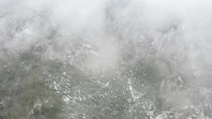 航拍安徽天柱山后山万涧竹海雪景奇观