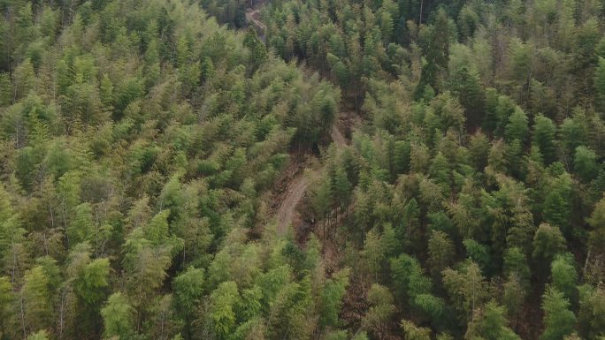 崎岖山路高清航拍素材