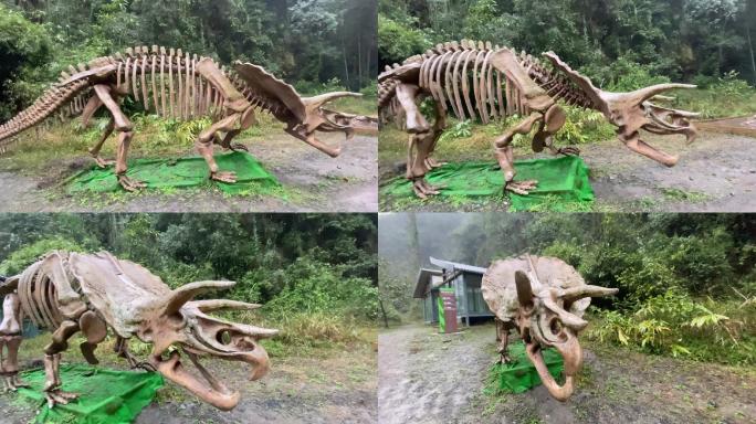 桫椤谷里的恐龙4（4K）