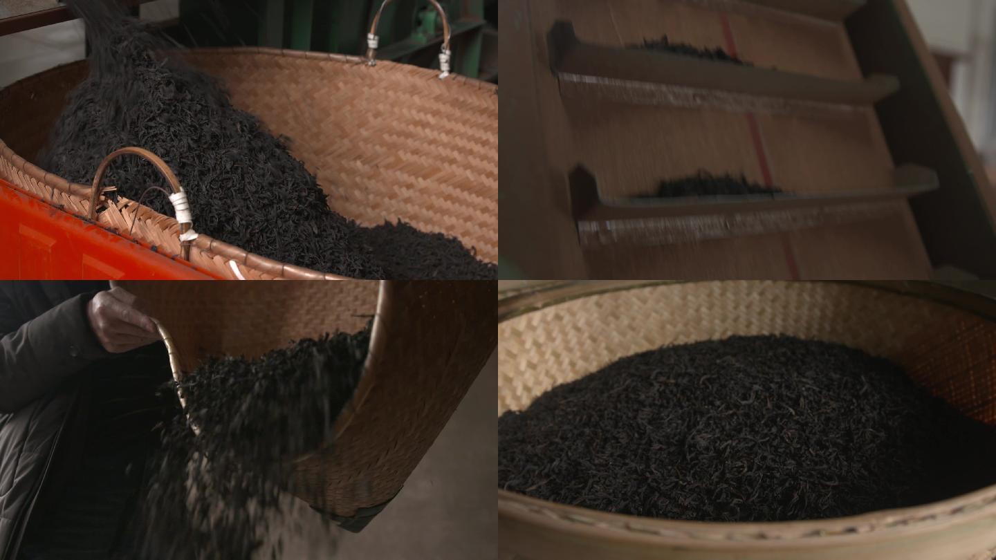 红茶生产制作过程