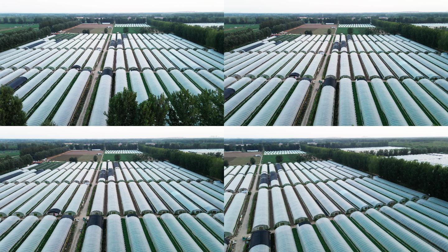 北京千亩蔬菜大棚航拍