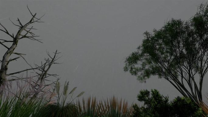 荒郊野外大雨大树场景