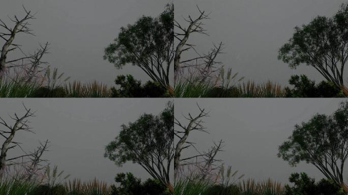 荒郊野外大雨大树场景