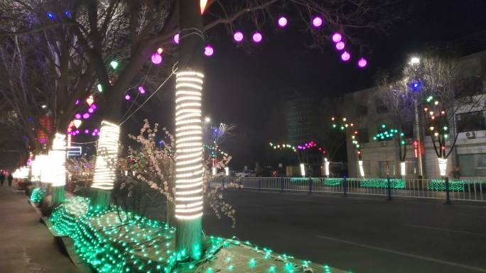 春节的街景 彩灯 装饰夜景 树上的灯
