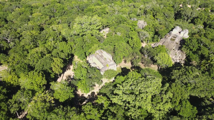 丛林中玛雅废墟和金字塔
