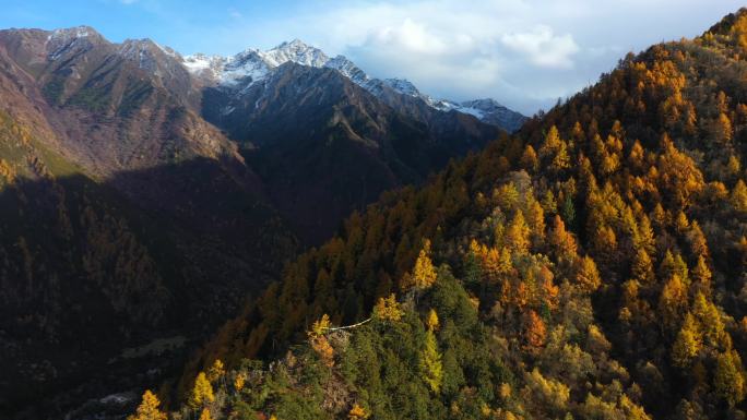 西藏林芝巴松措秋天景色