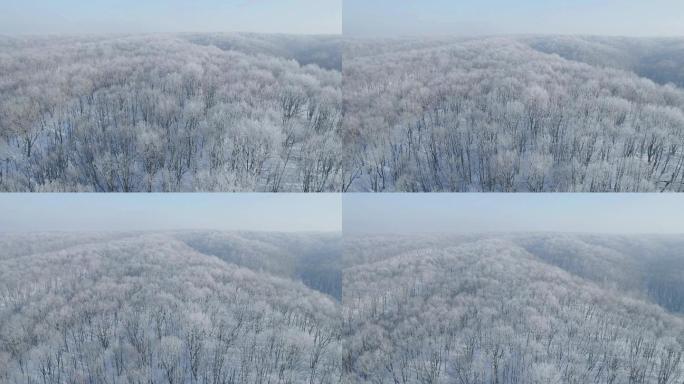 航拍冬季森林雾凇雪景