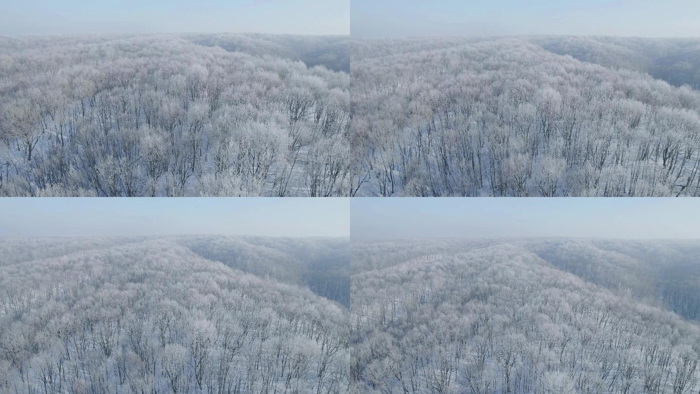 航拍冬季森林雾凇雪景