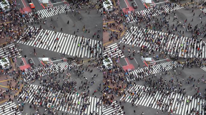 涉谷路口涩谷国外外国街头街景路人行人