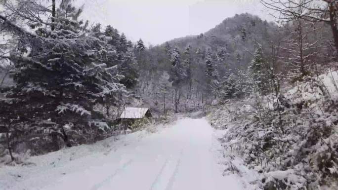 神农架林区雪景4K实拍素材