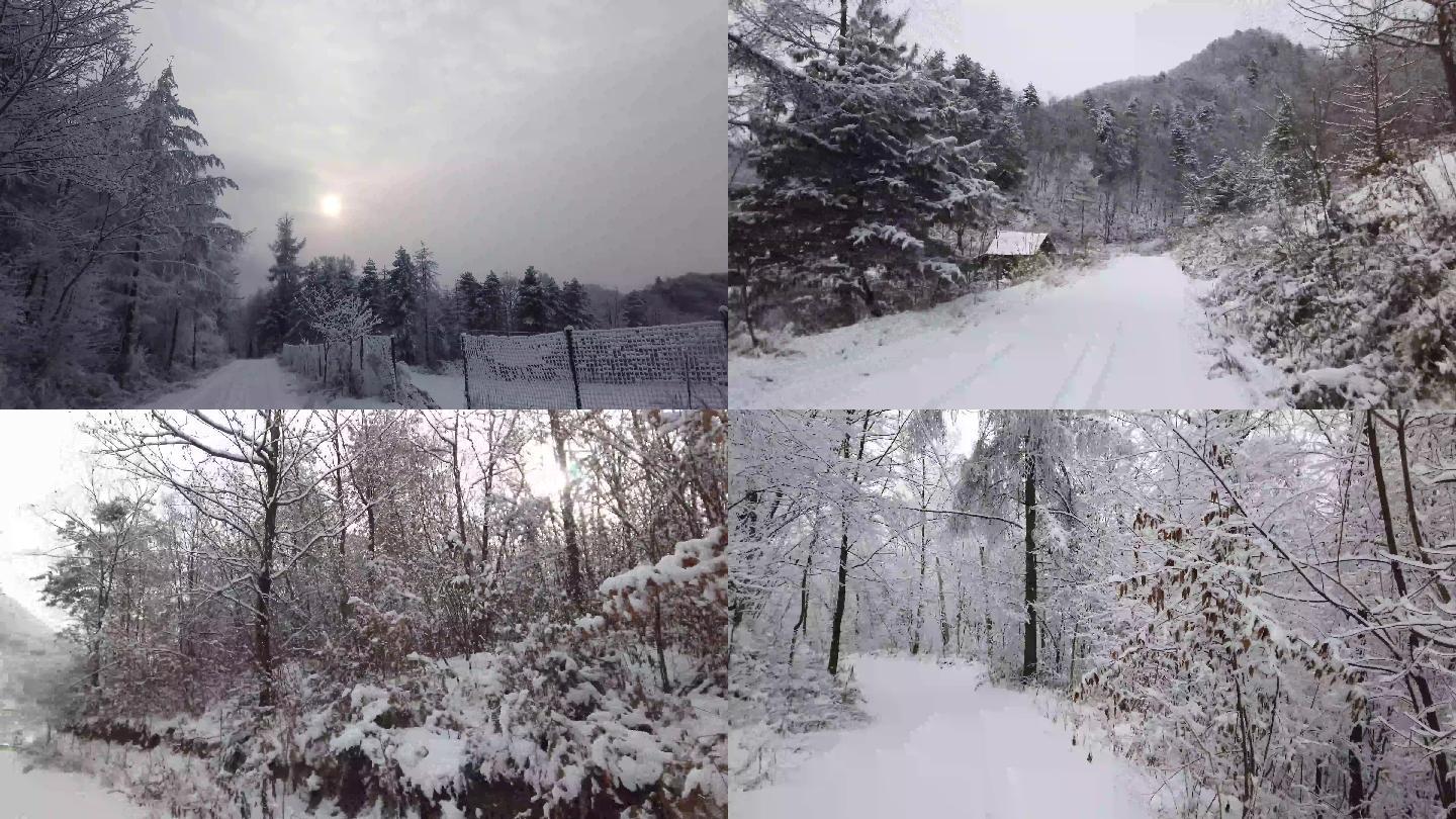 神农架林区雪景4K实拍素材