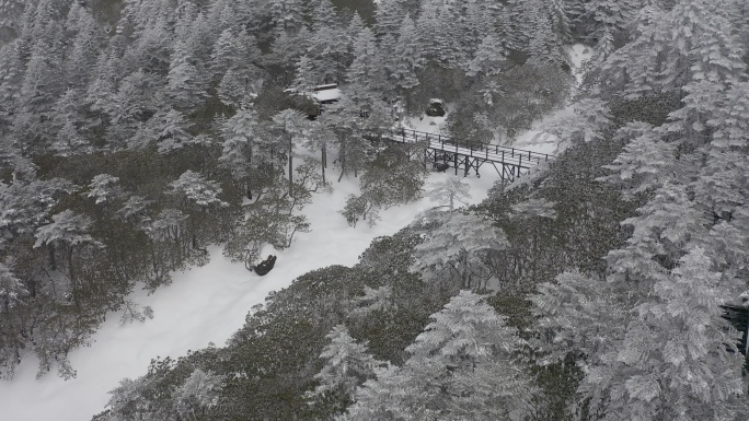 轿子雪山雪后森林栈道航拍