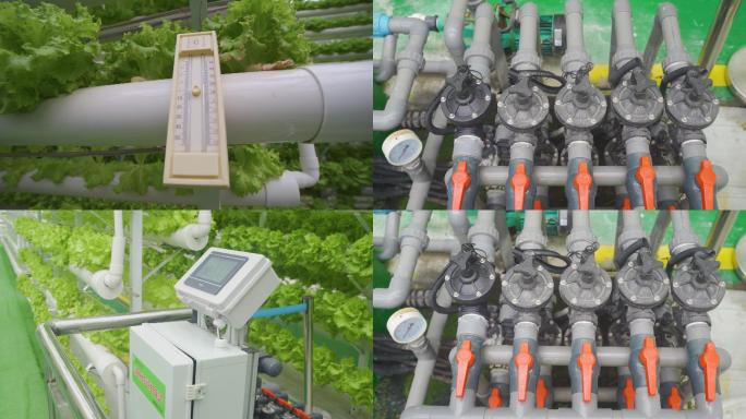 4K农业科技设施 现代化温室大棚绿色农业