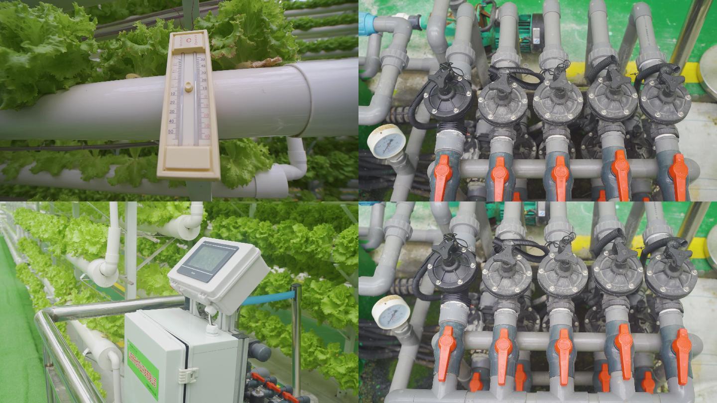 4K农业科技设施 现代化温室大棚绿色农业
