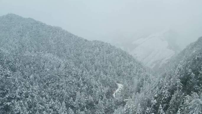 浙江山区山林大雪