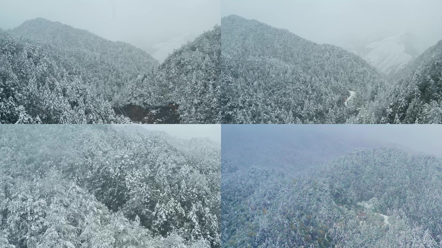 浙江山区山林大雪