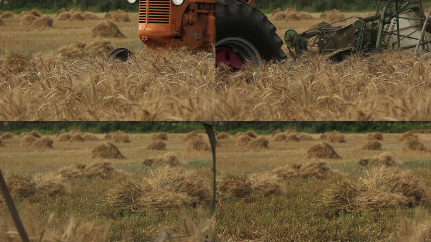 收获小麦麦子收割机农忙农民劳动麦田机械化