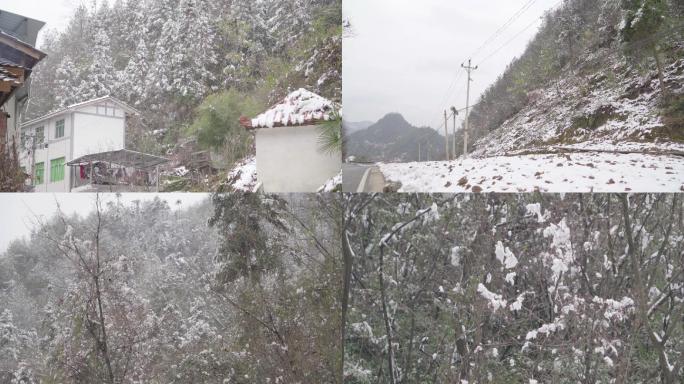 农村雪景立冬冬天下雪